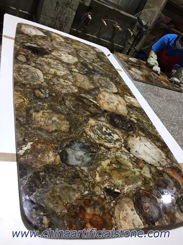 Petrified Wood Dining Table TopS