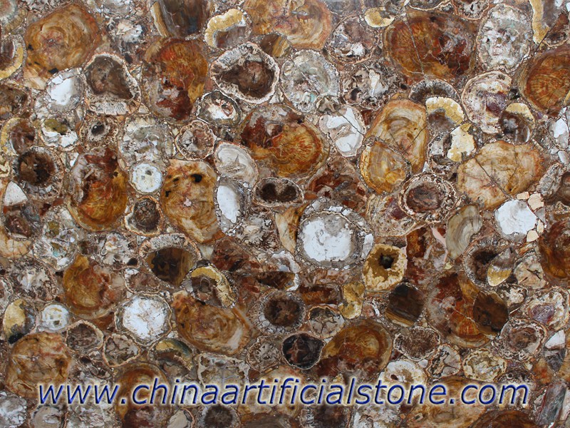 Piedra petrificada piedra preciosa piedra semipreciosa corte transversal losas 